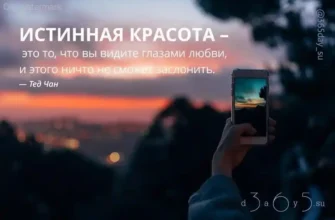 Красота Цитаты