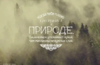 Колибри Салон Красоты